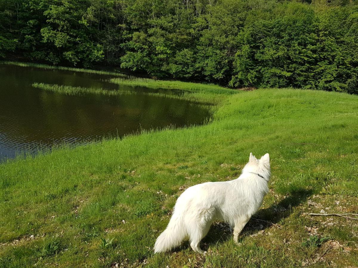 Gite Le Domaine D Orphee Marmagne  ภายนอก รูปภาพ