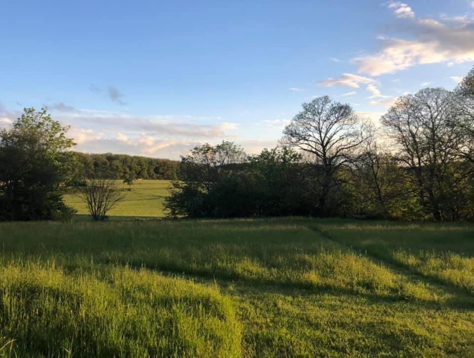 Gite Le Domaine D Orphee Marmagne  ภายนอก รูปภาพ