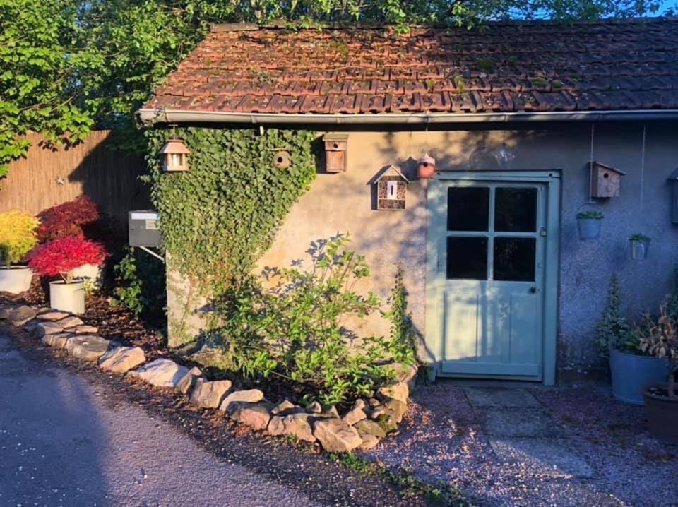 Gite Le Domaine D Orphee Marmagne  ภายนอก รูปภาพ